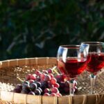 meeting vino 2017