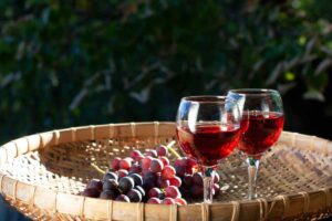meeting vino 2017