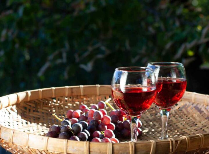 meeting vino 2017