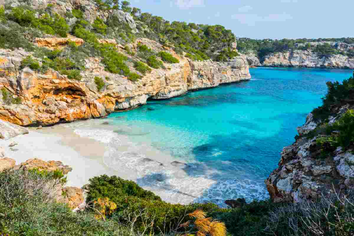 Maiorca