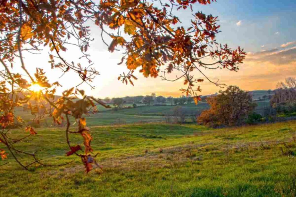 Maremma, Toscana
