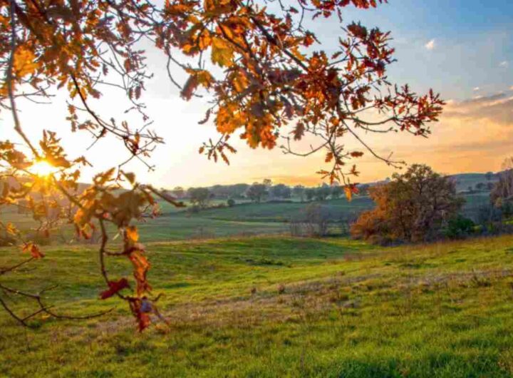 Maremma, Toscana