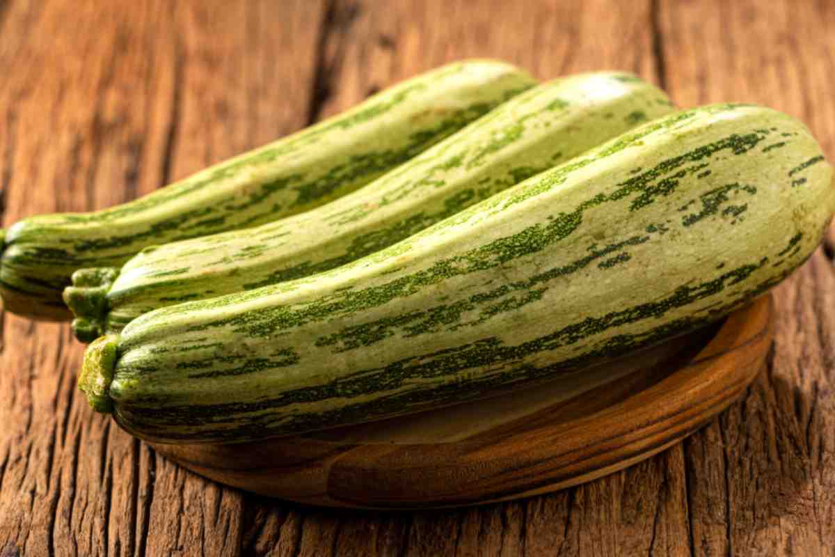 Spiedini di Zucchine