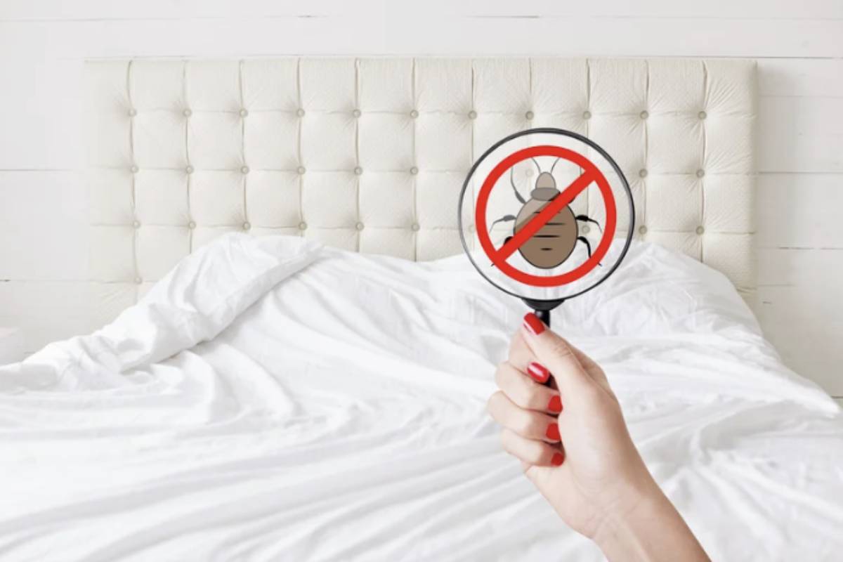 Al ritorno da un viaggio, è essenziale effettuare una verifica accurata dei bagagli su superfici chiare e resistenti, lavare tutti i vestiti a temperature elevate (almeno 50°C)
